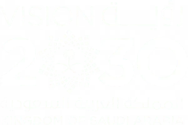 Vision 2030